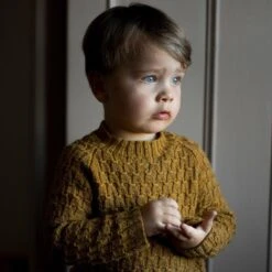 Viggo's Sweater [Trine Bertelsen](Viggos Sweater Trine Bertelsen)