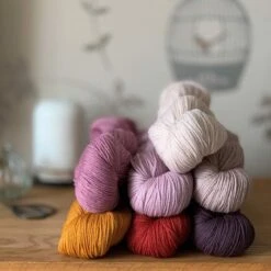 Rosy Green Wool Cheeky Merino Joy(Cheeky Merino Joy)